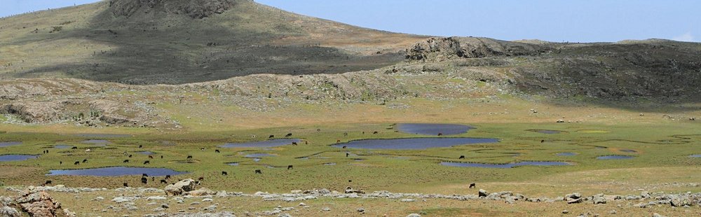 Parc national du Mont Balé