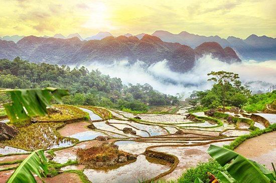 Pù Luông