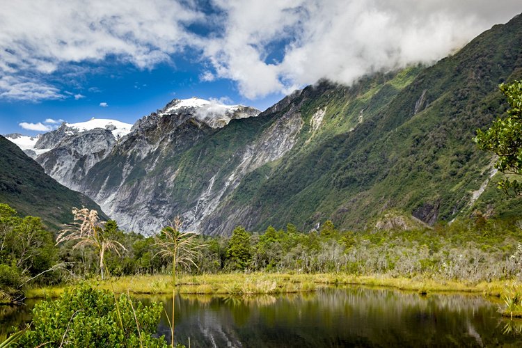 Fox Glacier et Franz Josef Glacier 2