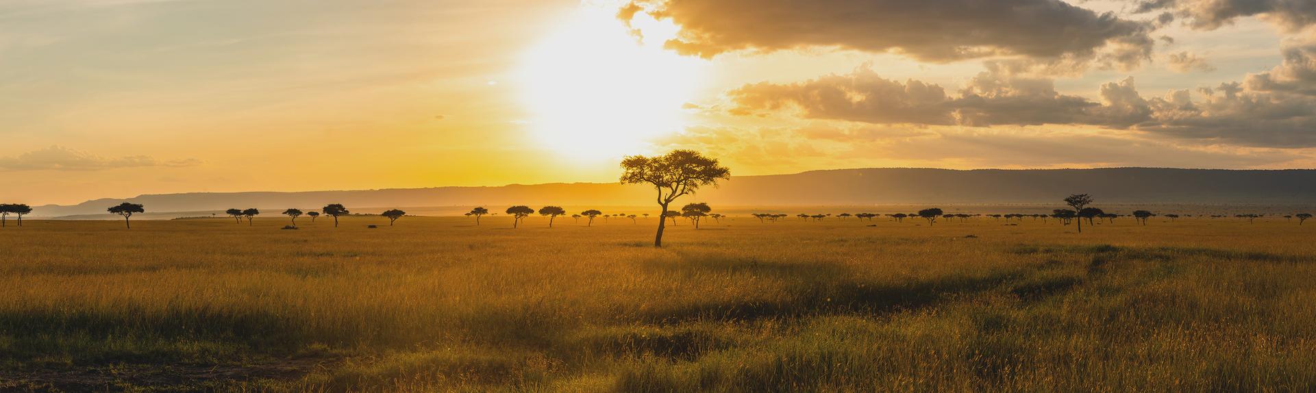 Kenya