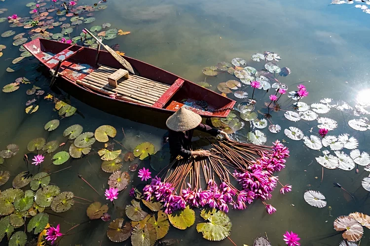 N°15 Vietnam 4