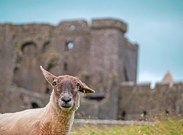 Rock of Cashel