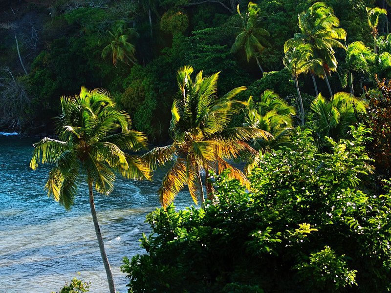 Samana
