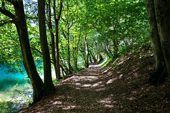 Parc national Aggteleki
