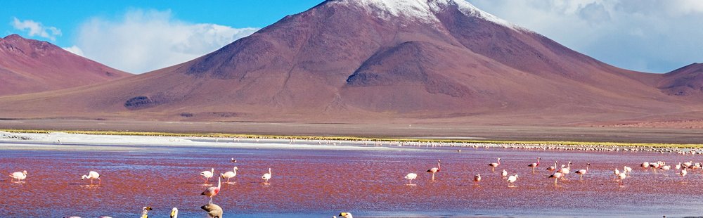 Laguna Colorada