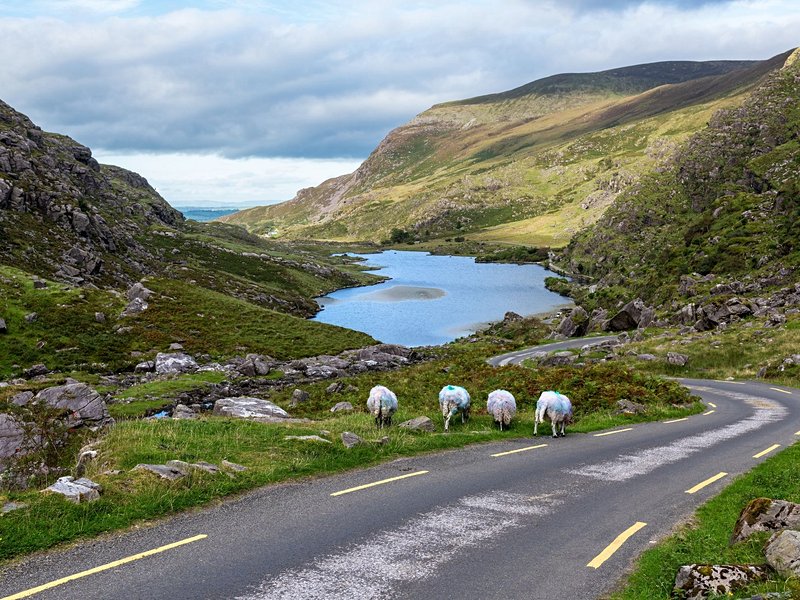 L’infinie : Killarney et la Kerry Way
