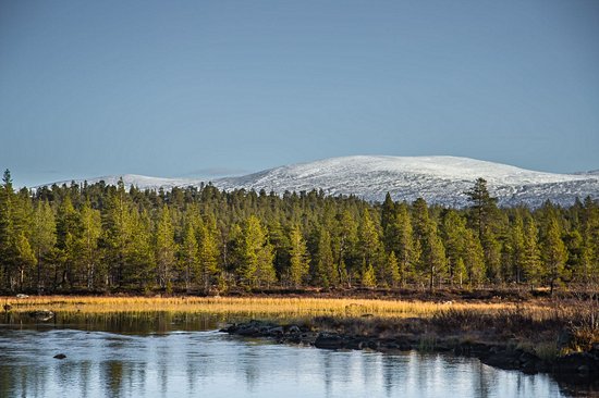Femundsmarka