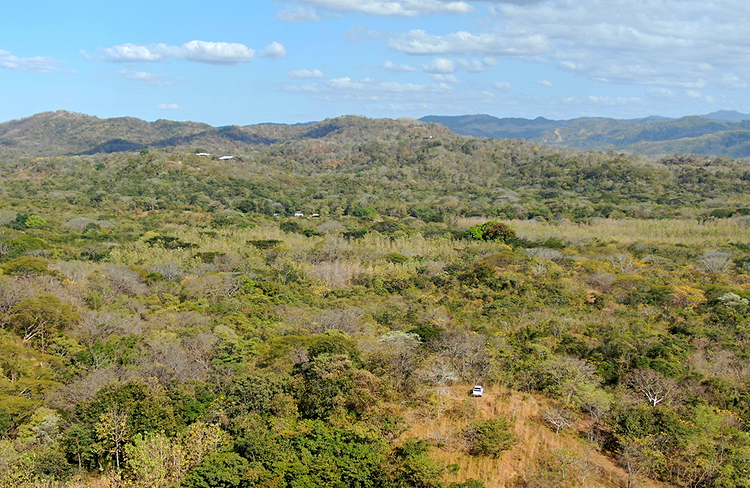 Forêt tropicale sèche