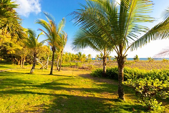 Plage La Barqueta