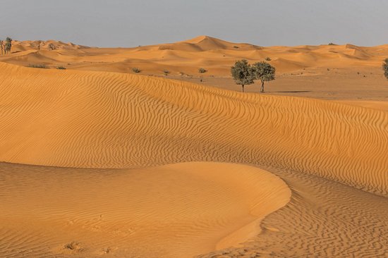 Umm Al Quwain