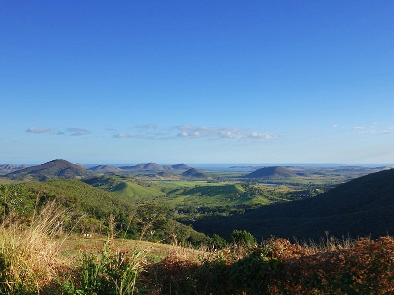 La brousse calédonienne