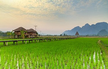 Les rizières Vang Vieng