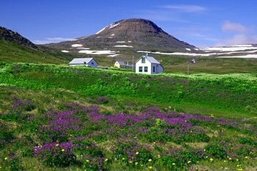 Hornstrandir