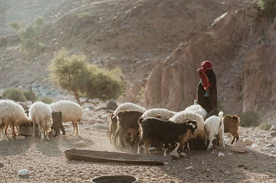 La réserve de Dana