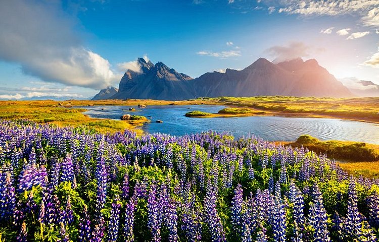 Le parc national du Vatnajökull