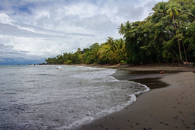 La paradisiaque : Pavones