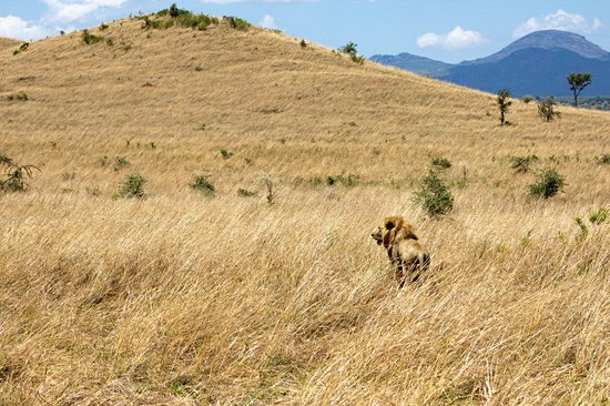 Parc national Kidepo Valley