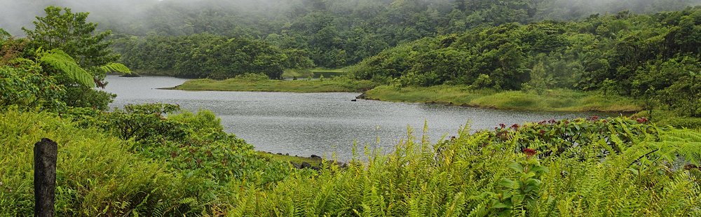 Lac Freshwater