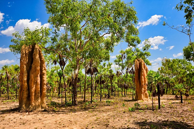 Litchfield National Park 2