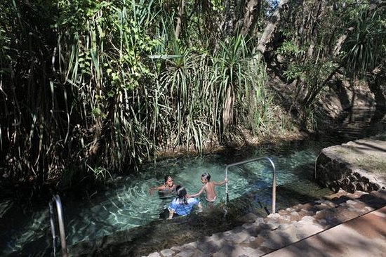Se baigner dans des sources d’eaux chaudes (Katherine)