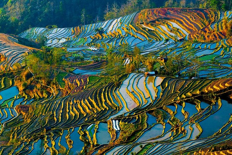 Les rizières en terrasse de Yuanyang