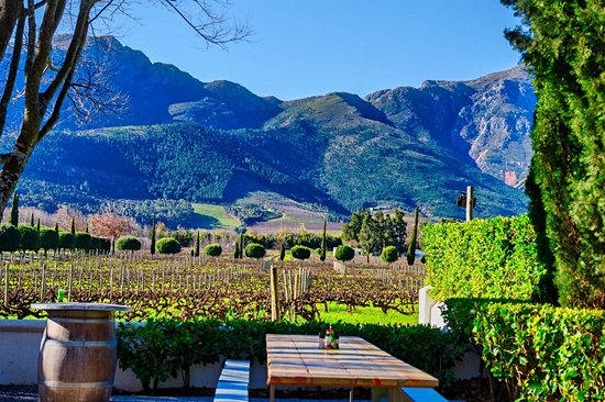 Les Vignobles