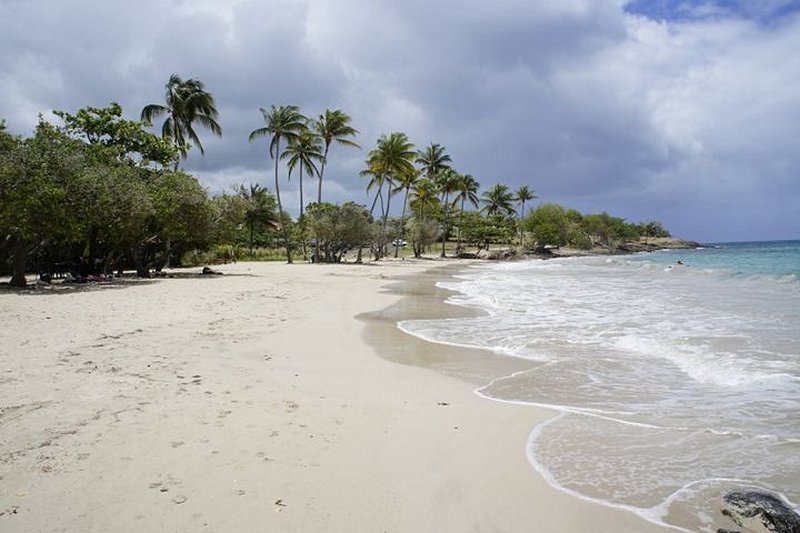plage L’Anse Gros raisin