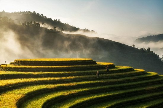 Mu Cang Chai