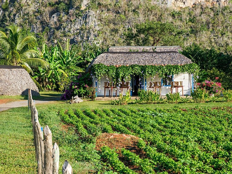 Viñales