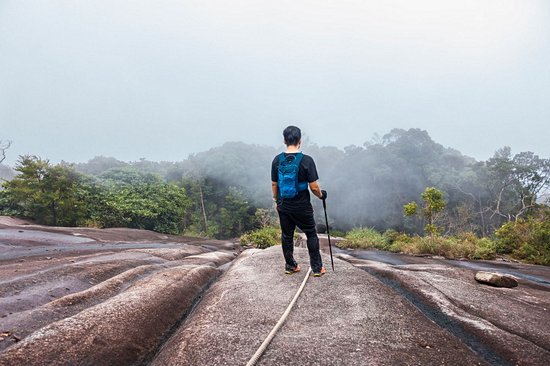 Parc national du Gunung Ledang