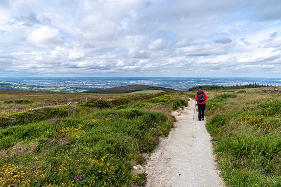 Wicklow