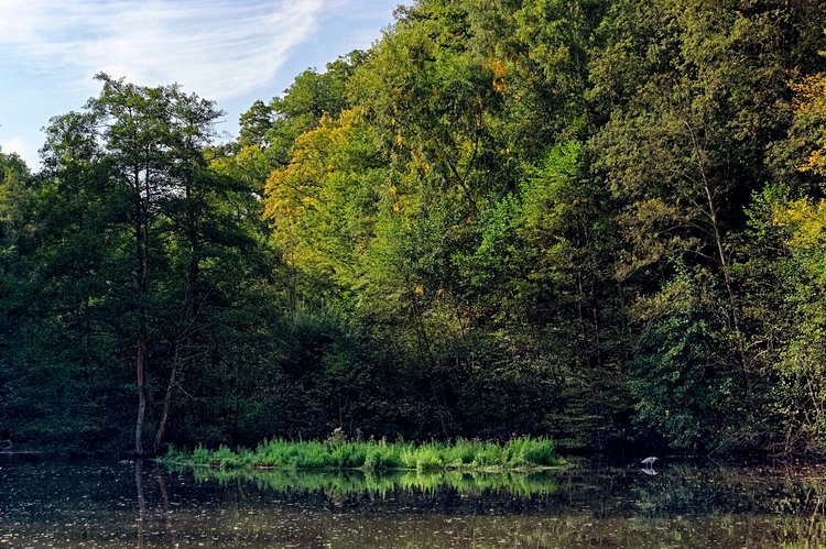 Parc naturel régional de la Haute Vallée de Chevreuse