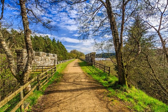 Kielder Water