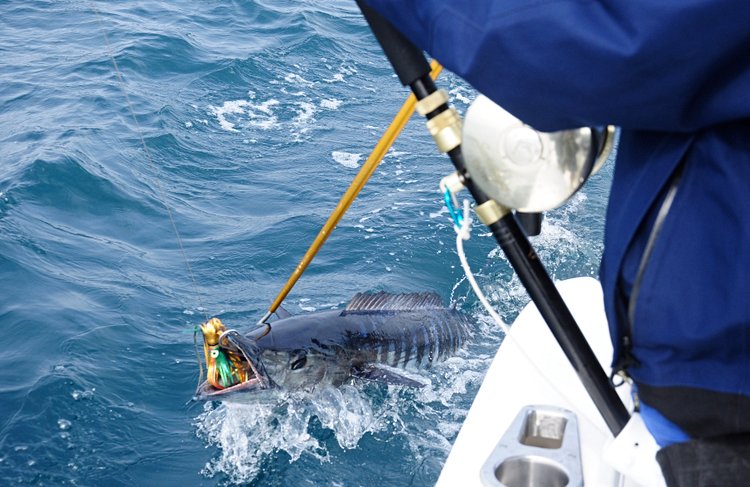 Pratiquer la pêche en haute mer