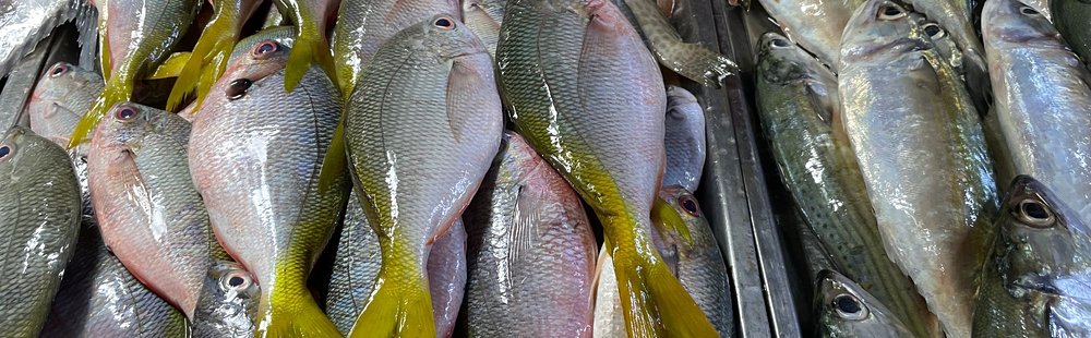 Flâner au marché public de Coron