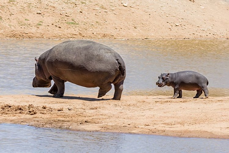 La bande de Caprivi