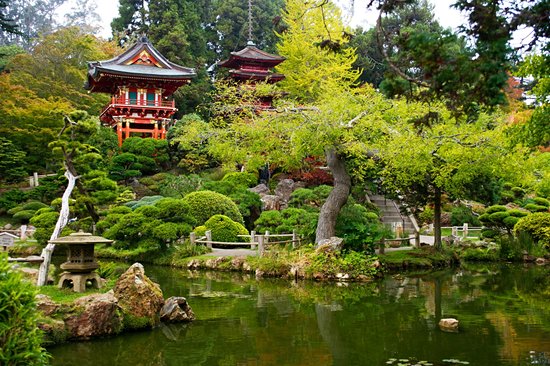 Le Golden Gate Park