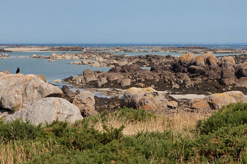 plage Les plages de Chausey
