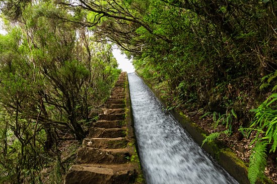 PR6.2 : Levada do Alecrim