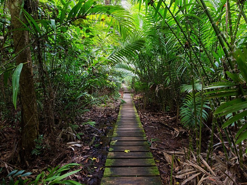 Parc national de Bako