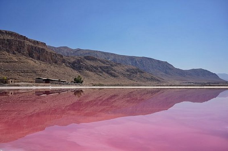 S'émerveiller devant le lac rose de Maharloo