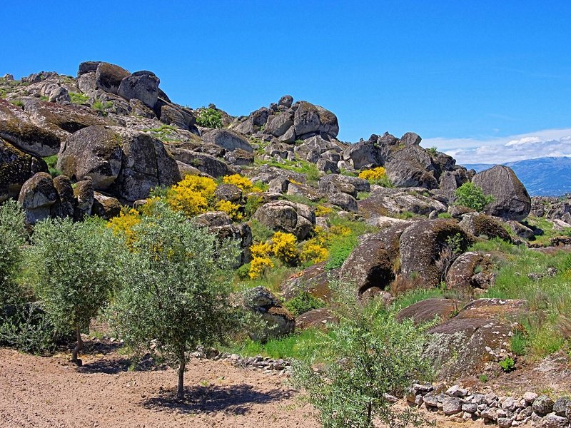 Parc naturel de Serra da Estrela