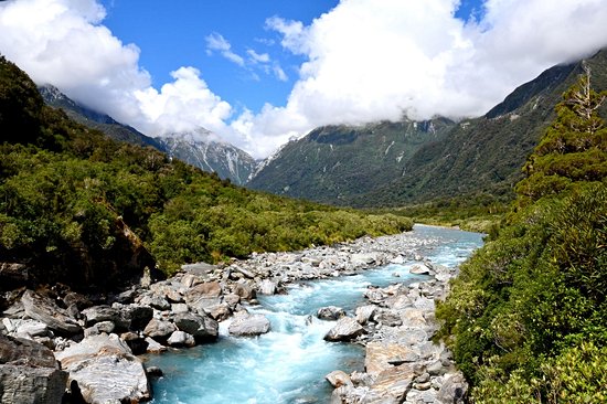 Réserve marine de Te Whanganui-A-Hei