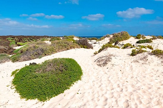 Caleta del Mojón Blanco