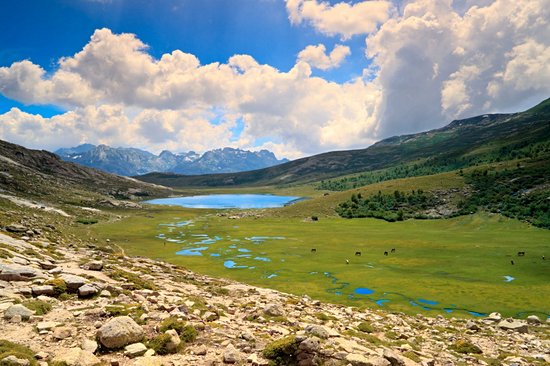 Lac de Nino