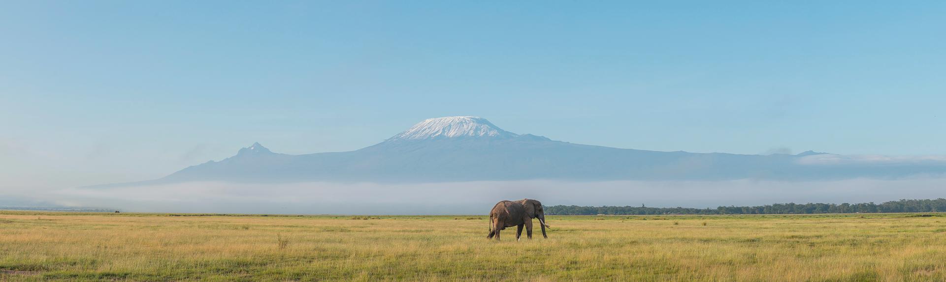 Tanzanie