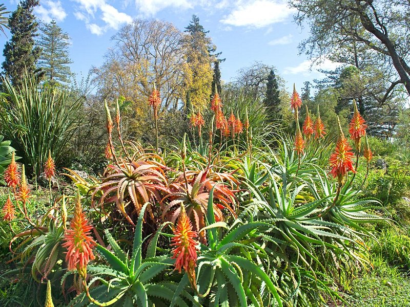 Jardins de Palheiro