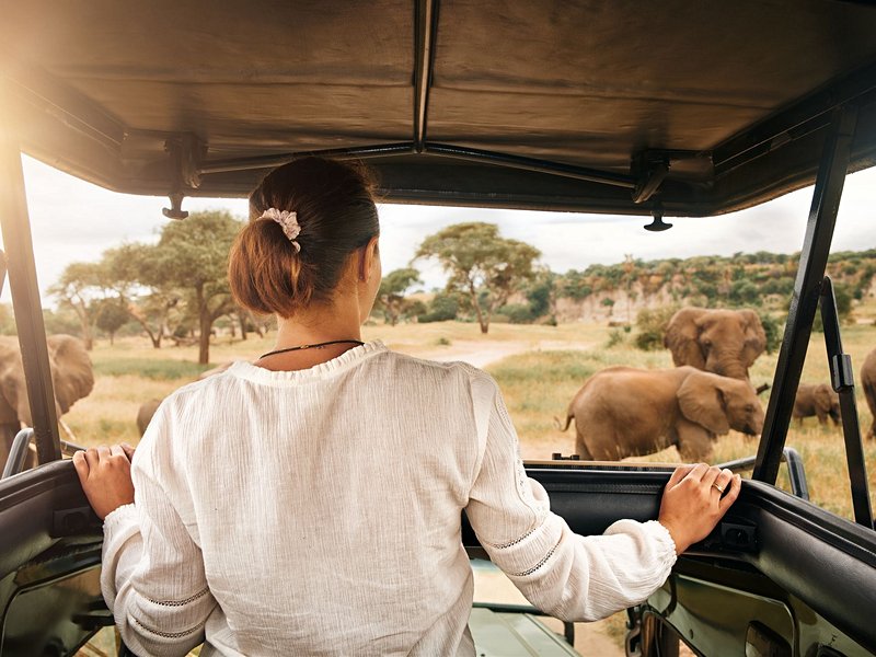 Parc national de Tarangire