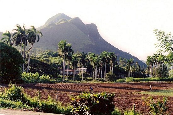Banao