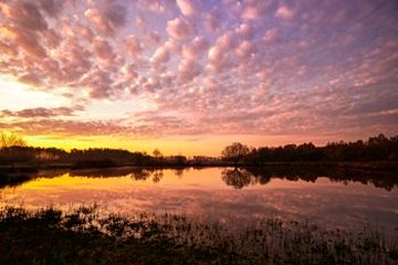 Parc national De Groote Peel